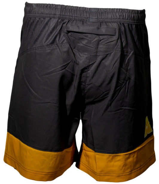 coach men shorts